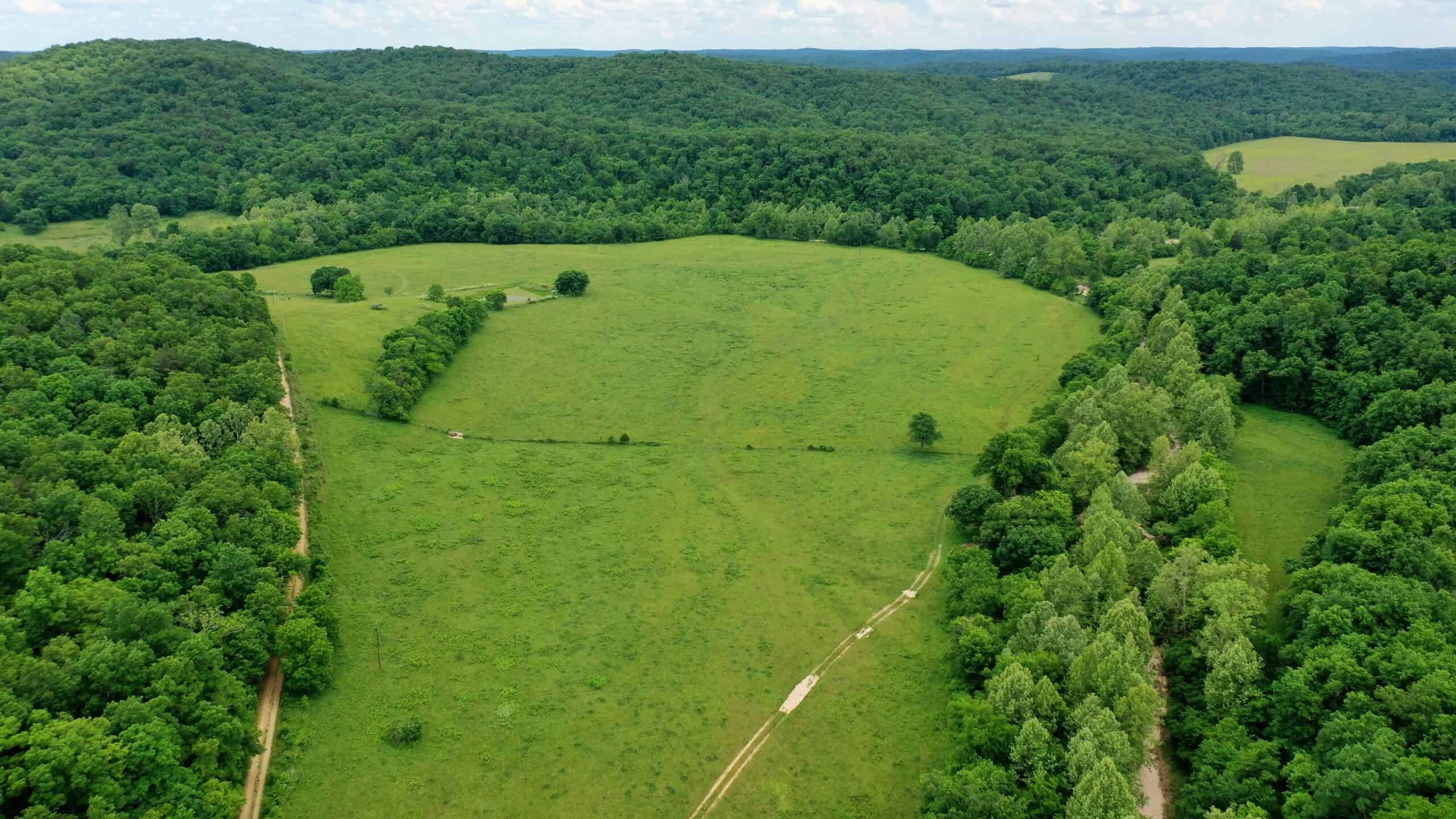 473 ± Acre Ozark Farm for Sale Near Salem, Missouri