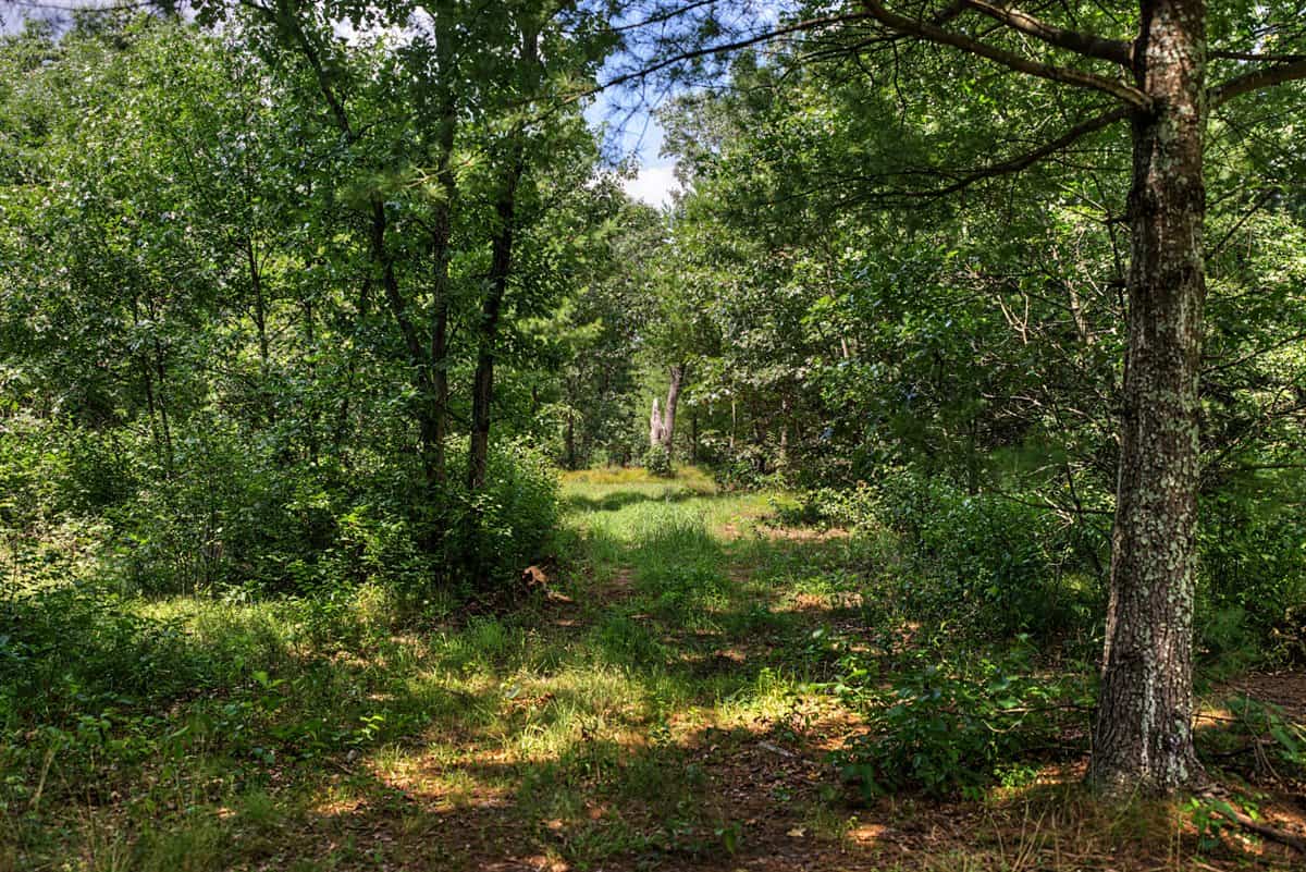 117± Acres of Irrigated Farmland and Trophy Whitetail Habitat — Adams County, Wisconsin