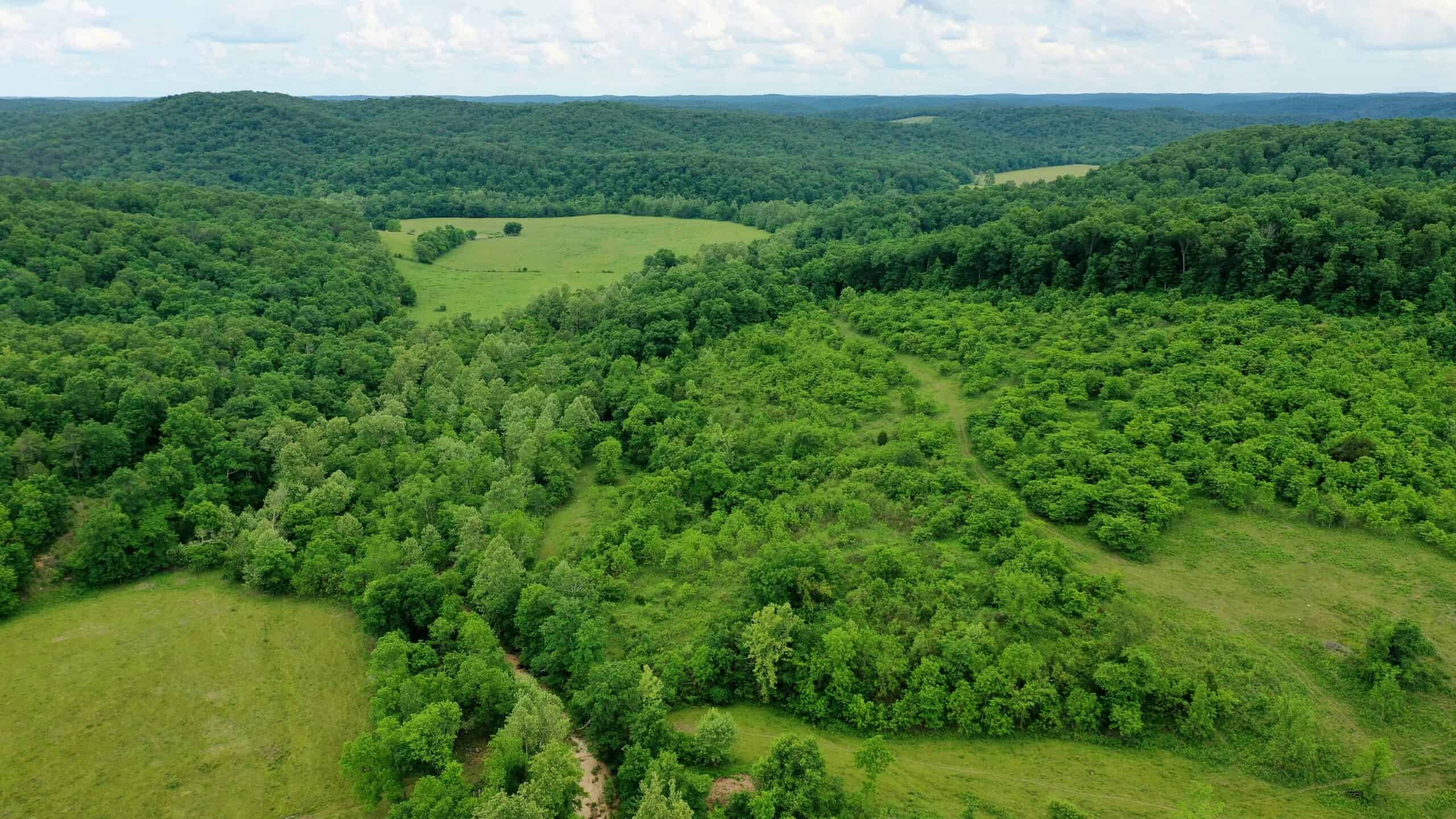473 ± Acre Ozark Farm for Sale Near Salem, Missouri