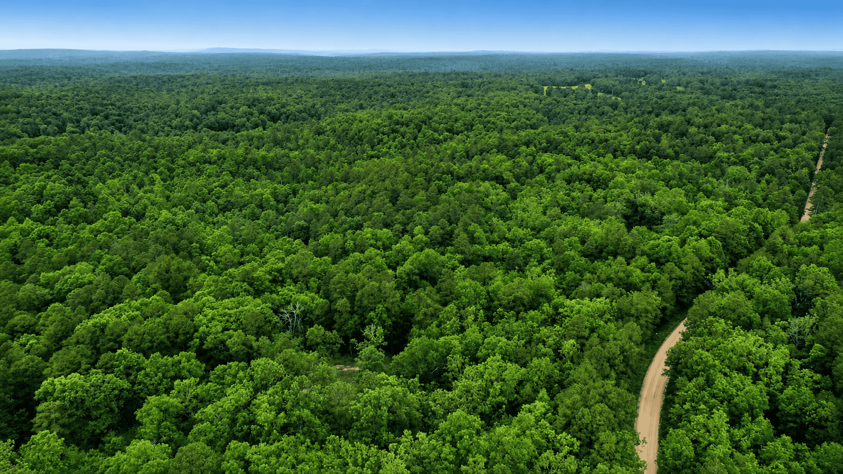 46.12 ± Acre Hunting Land for Sale in the Missouri Ozarks