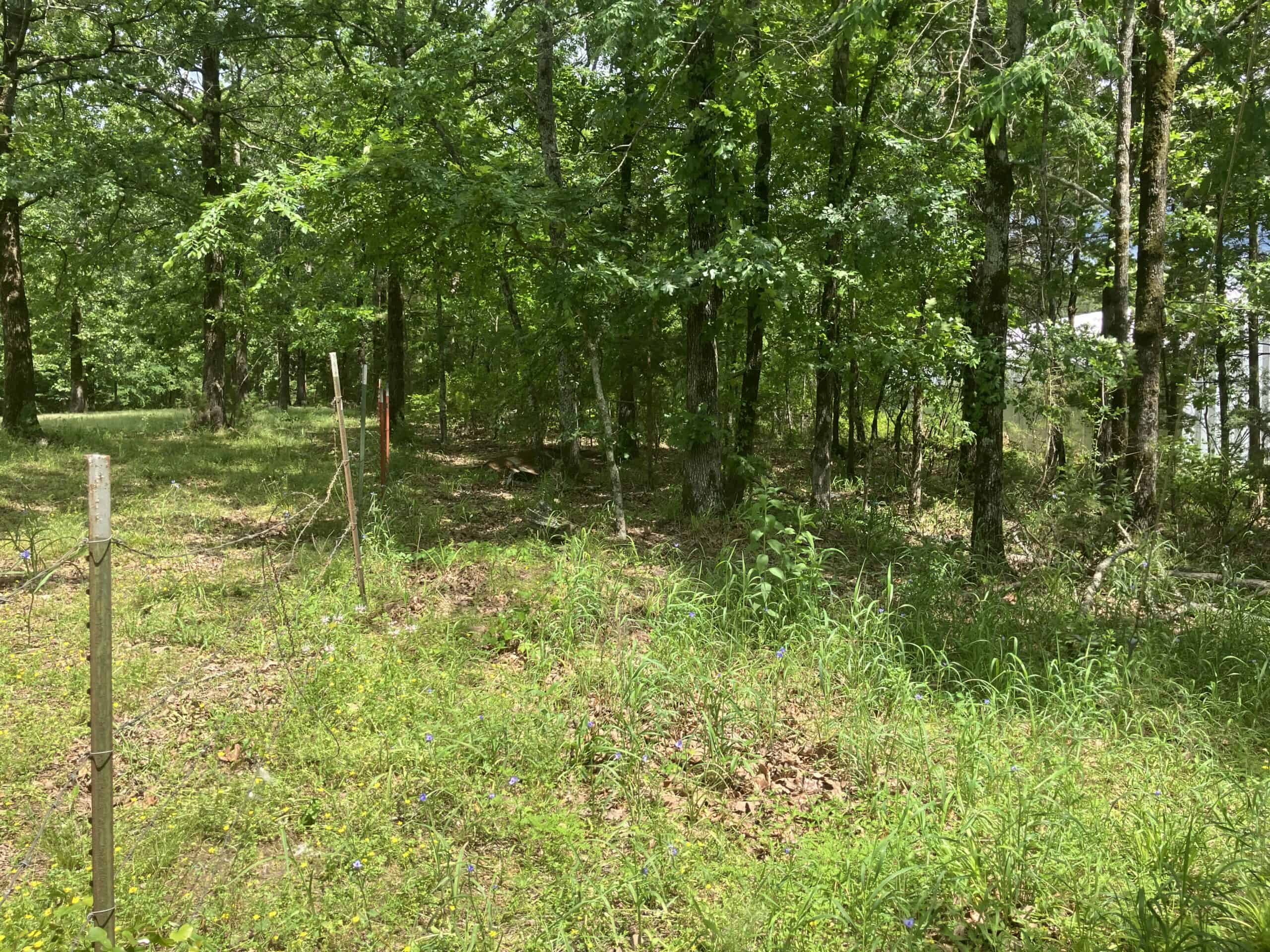 5± Acres of Wooded Hunting & Recreational Land with Creek in SE Oklahoma