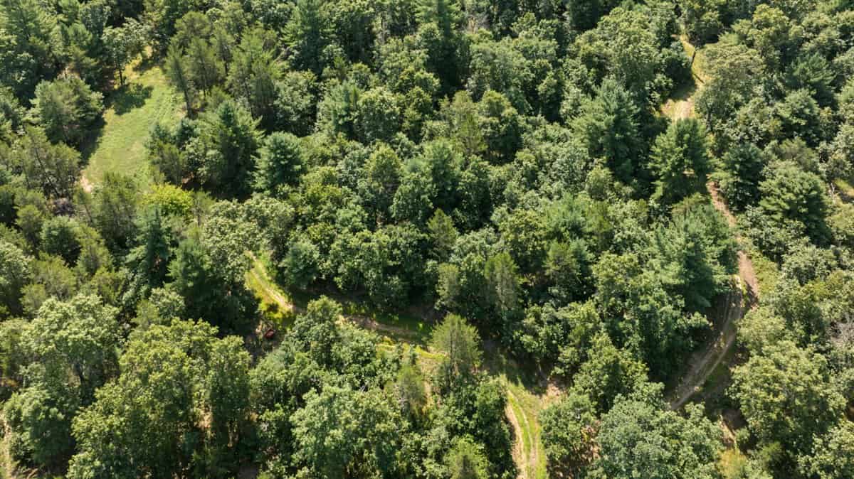 117± Acres of Irrigated Farmland and Trophy Whitetail Habitat — Adams County, Wisconsin