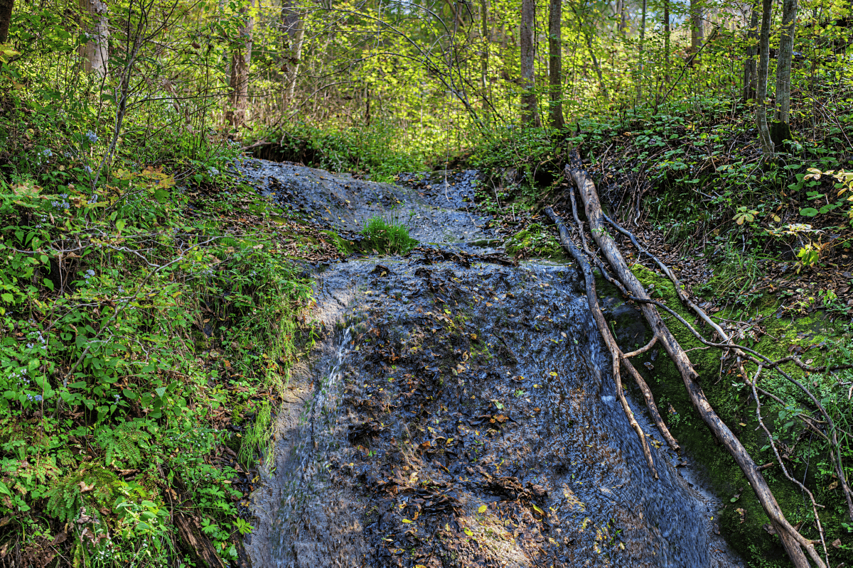 96.25-Acre Log Home, Pasture & Recreational Estate in Grant County, Wisconsin