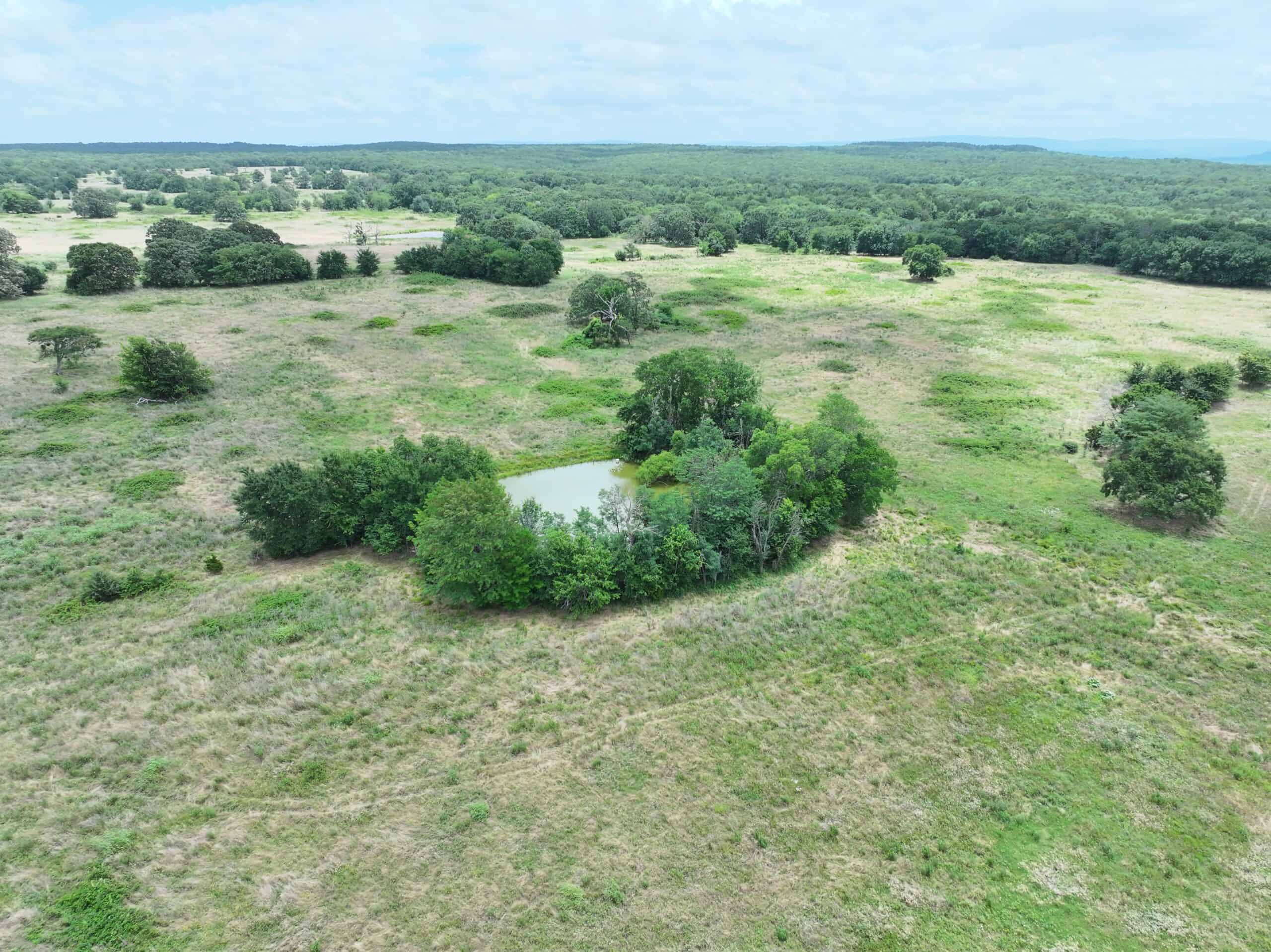 104± Acres of Whitetail Hunting, Hardwood Timber & Fishing Ponds in SE Oklahoma
