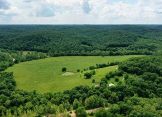473 ± Acre Ozark Farm for Sale Near Salem, Missouri