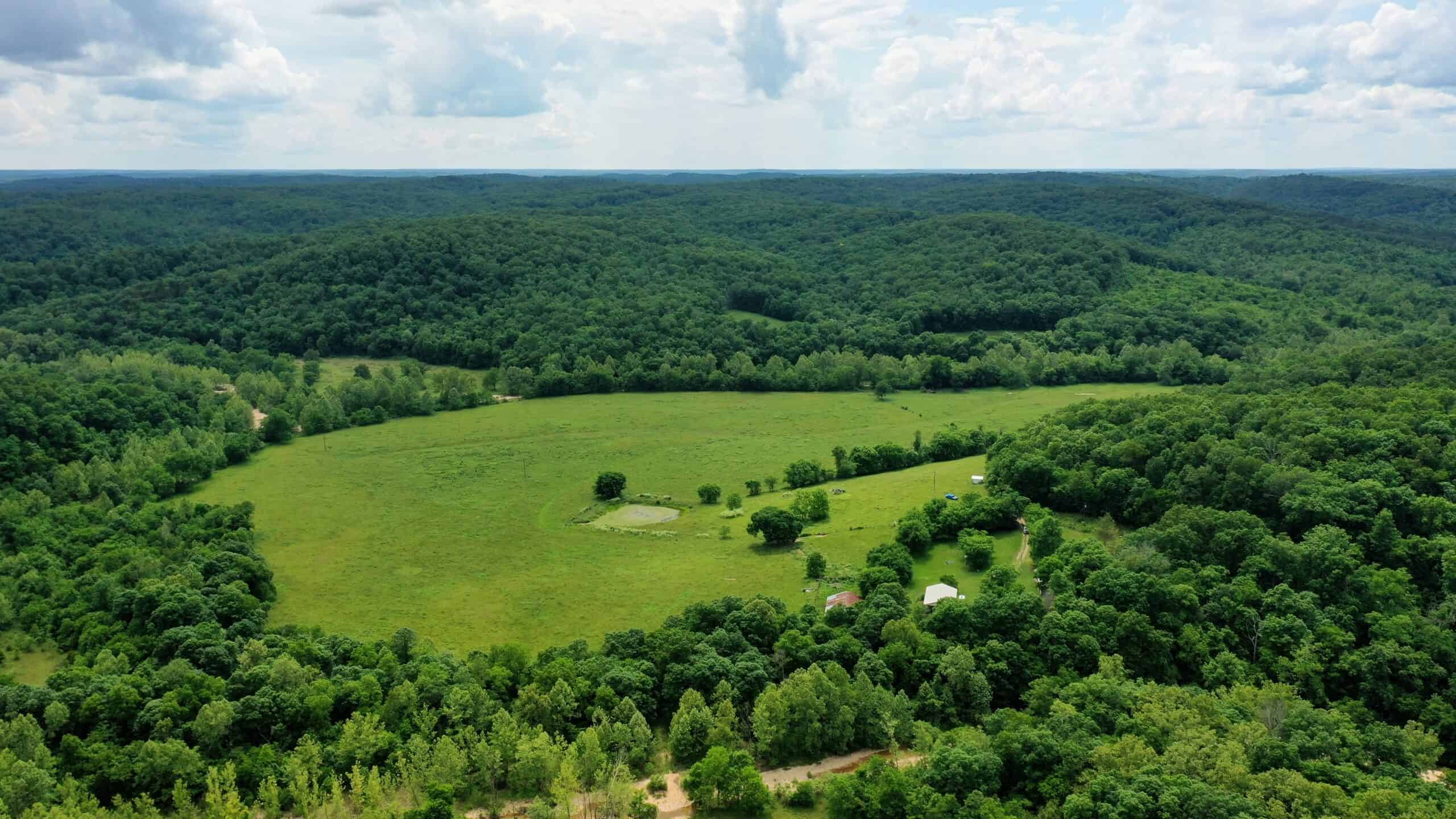 473 ± Acre Ozark Farm for Sale Near Salem, Missouri