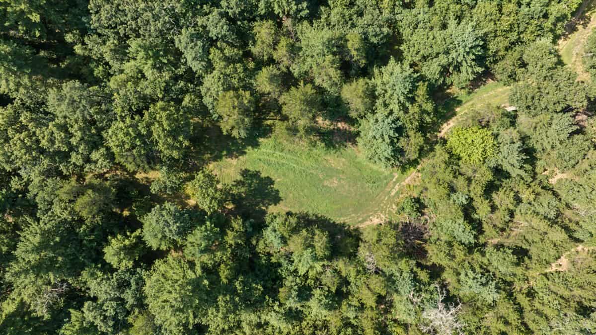 117± Acres of Irrigated Farmland and Trophy Whitetail Habitat — Adams County, Wisconsin