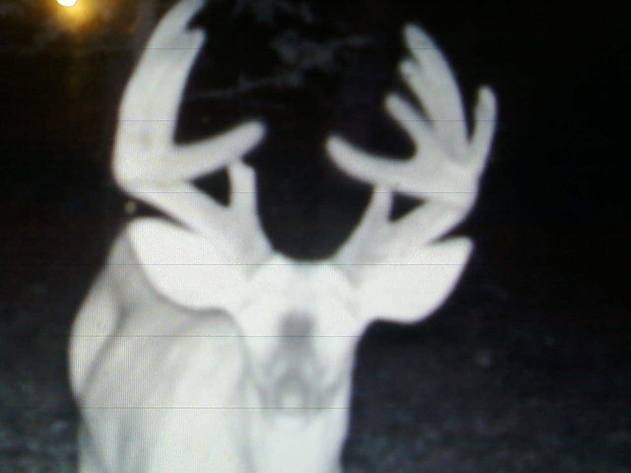 52 Acres of Trophy Whitetail Deer Hunting in Columbia County WI