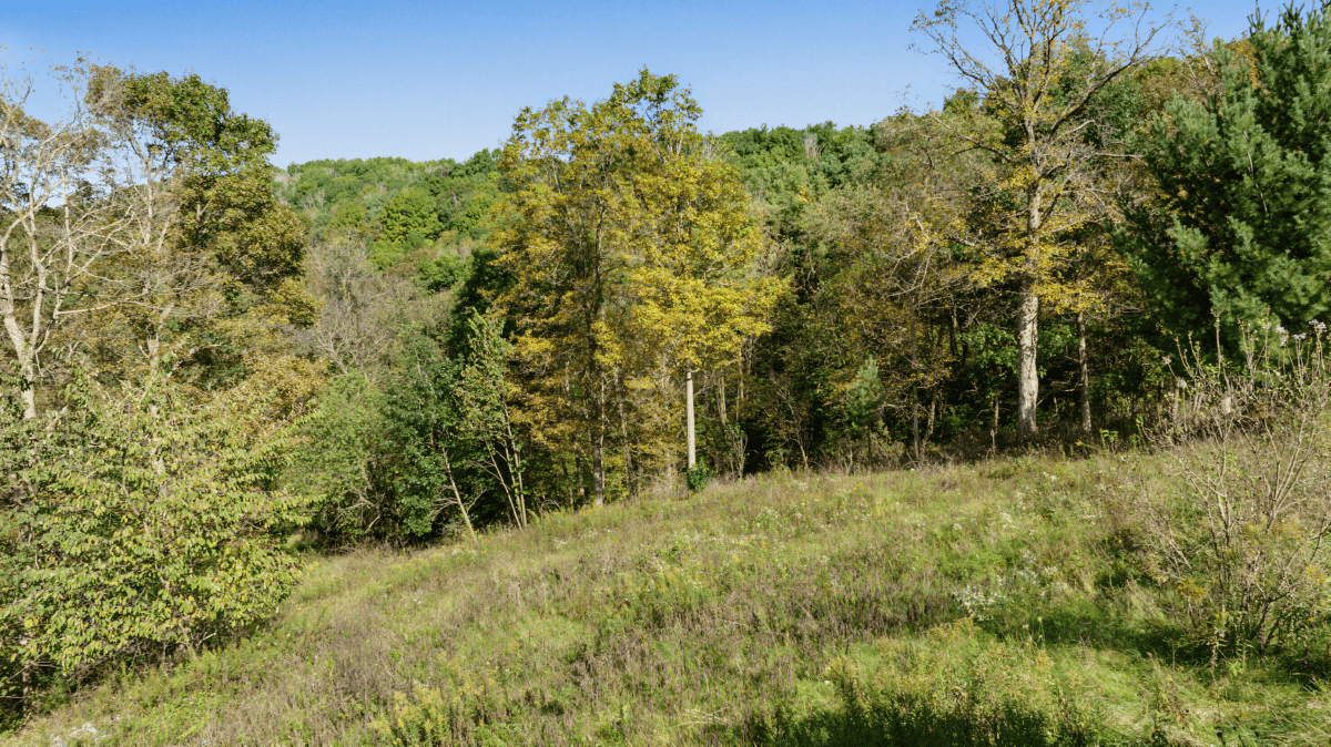 96.25-Acre Log Home, Pasture & Recreational Estate in Grant County, Wisconsin