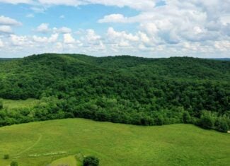 473 ± Acre Ozark Farm for Sale Near Salem, Missouri