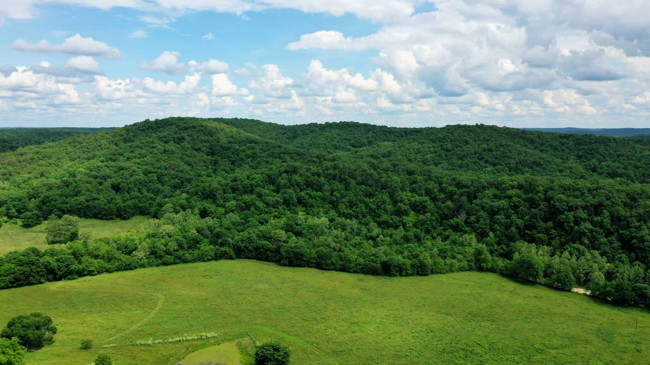 473 ± Acre Ozark Farm for Sale Near Salem, Missouri