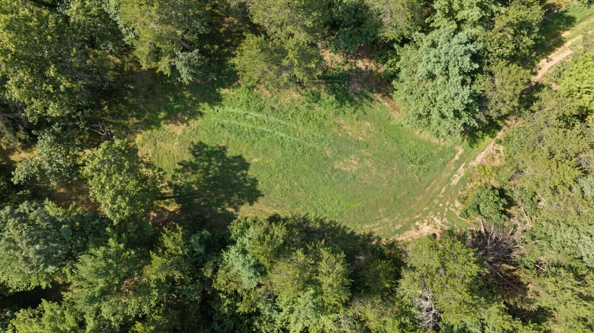 117± Acres of Irrigated Farmland and Trophy Whitetail Habitat — Adams County, Wisconsin