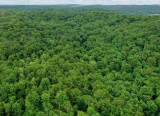473 ± Acre Ozark Farm for Sale Near Salem, Missouri