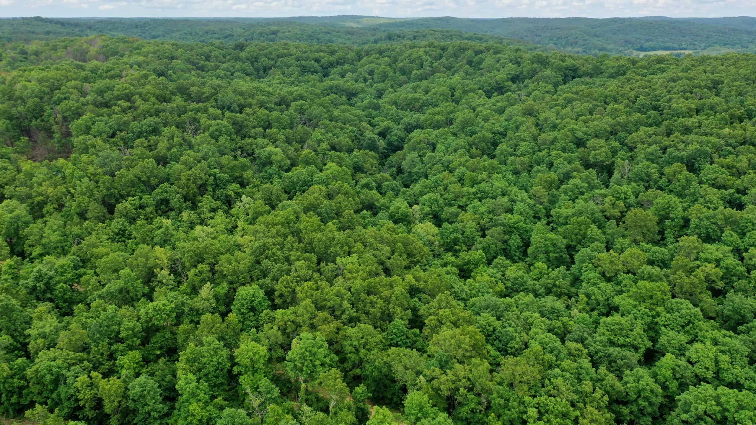 473 ± Acre Ozark Farm for Sale Near Salem, Missouri