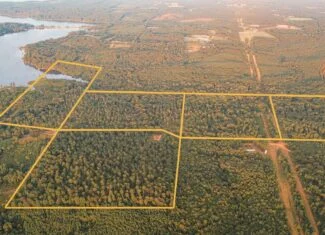 Lake D’Arbonne Land for Sale