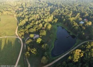 210+/- Acres and Cabin in Franklin County, MS
