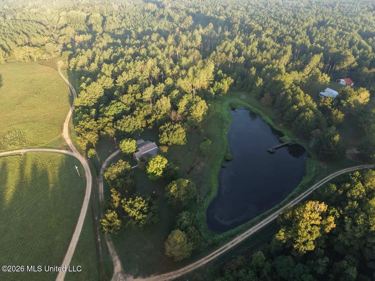 210+/- Acres and Cabin in Franklin County, MS