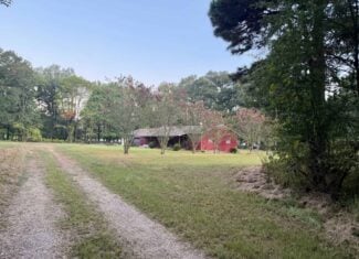 80 Ac Home, Hunting & Cattle Land in Franklin Parish LA
