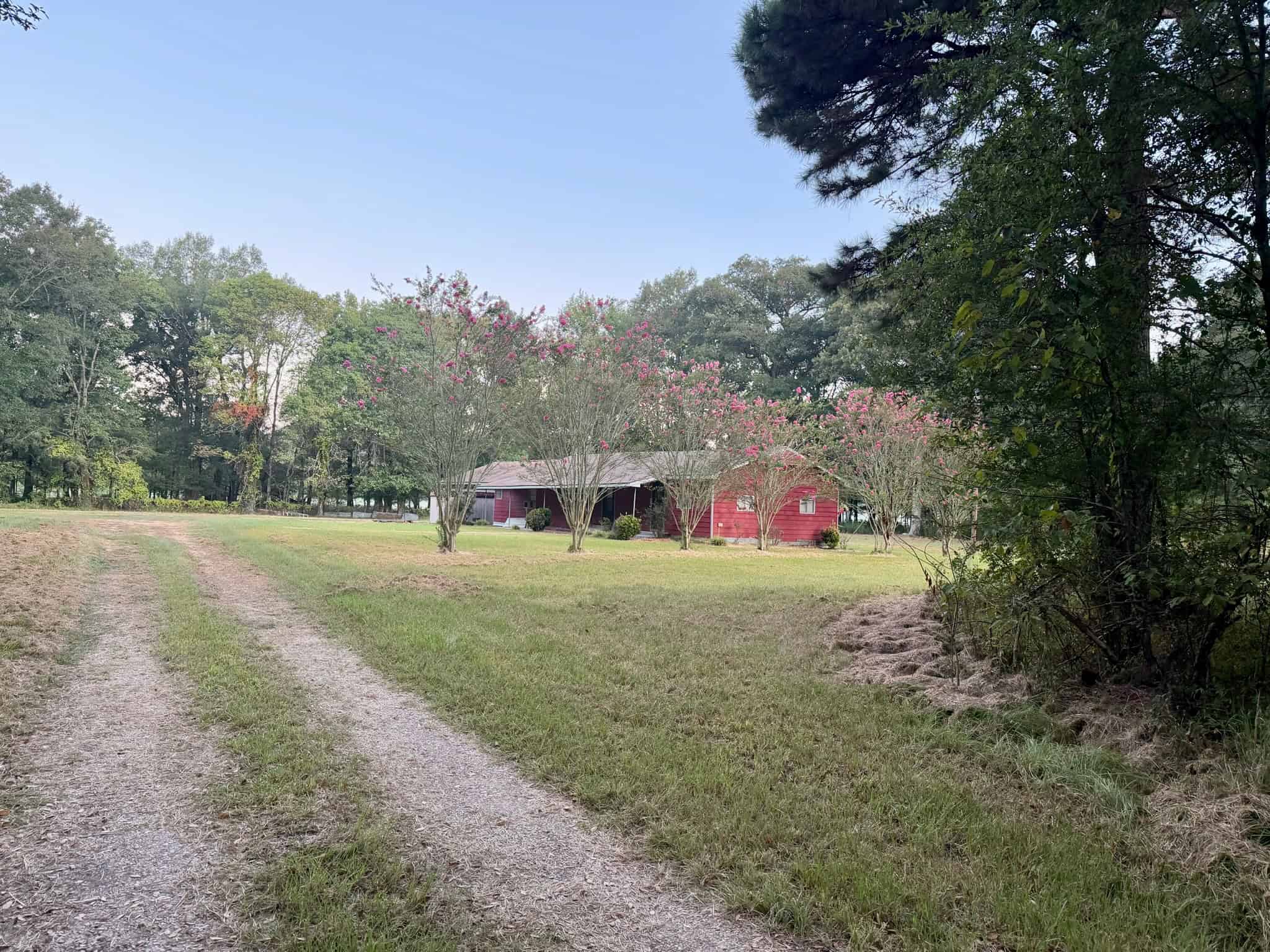80 Ac Home, Hunting & Cattle Land in Franklin Parish LA