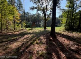 76 Acres of Hunting Land in Raleigh, MS, Smith County