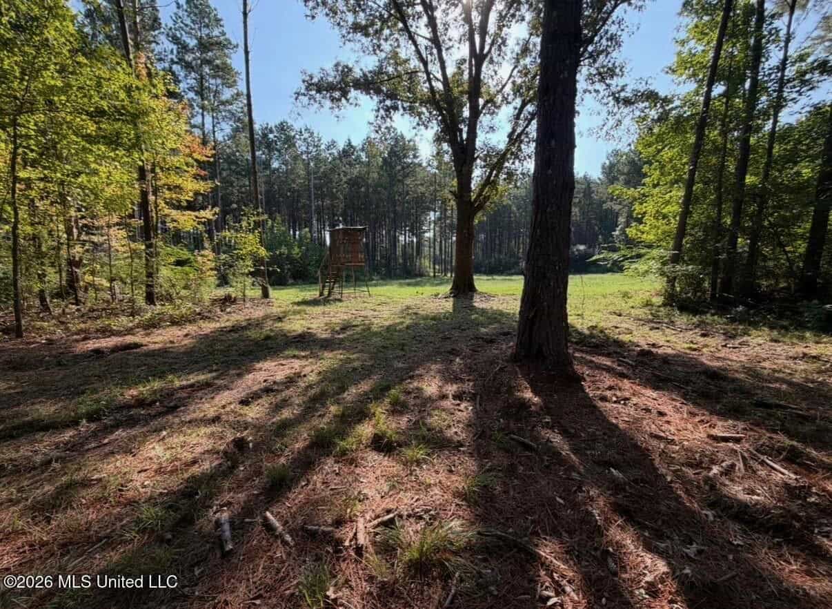 76 Acres of Hunting Land in Raleigh, MS, Smith County