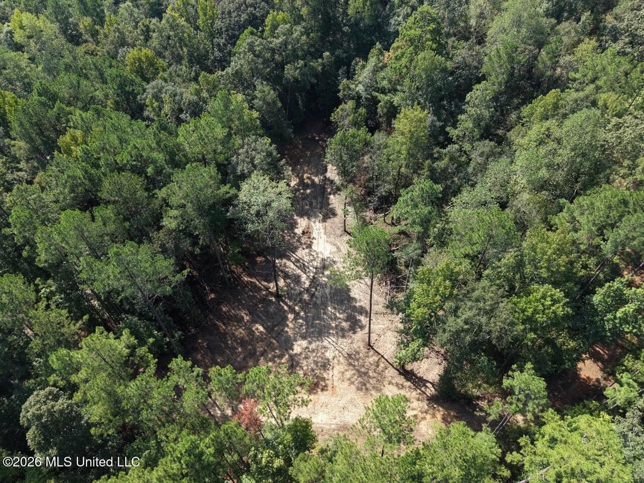 45± Acre Hunting Property in Franklin County, MS