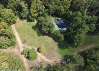 200± Acre Hunting Property in Jefferson County, MS