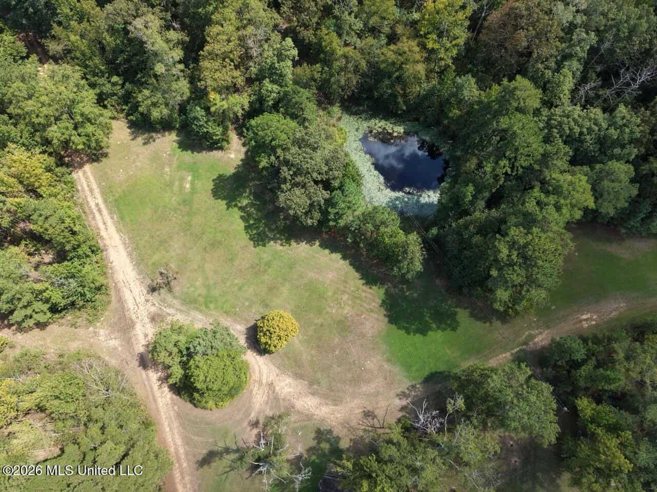 200± Acre Hunting Property in Jefferson County, MS