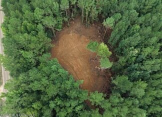 25± Acre Hunting & Homesite Tract in Centreville, MS