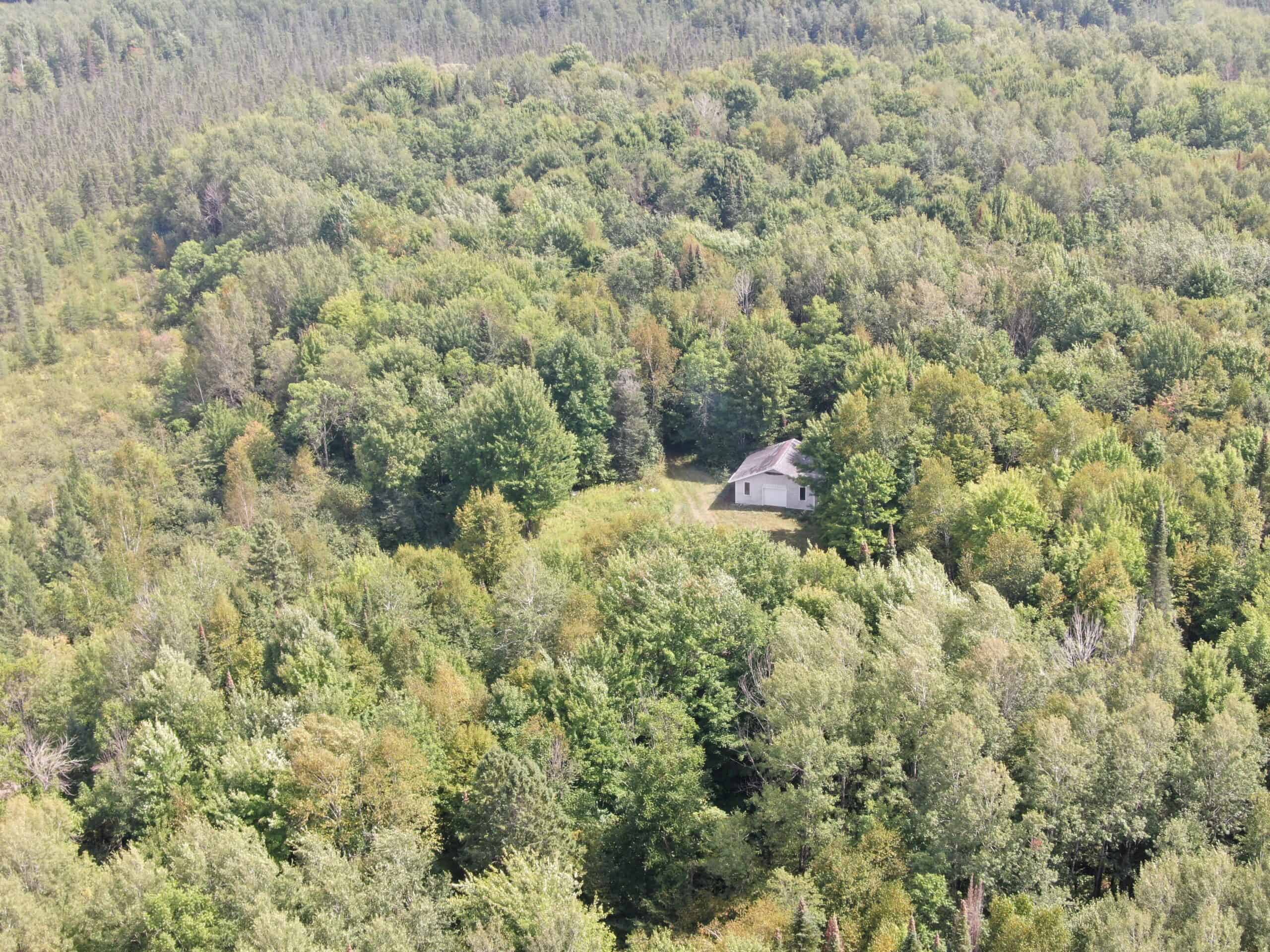 37.5± Acres with Off-Grid Cabin – Taylor County, Wisconsin