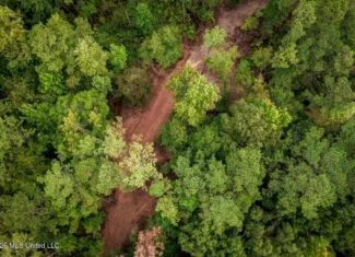 13± Acres by Homochitto National Forest Near Meadville, MS