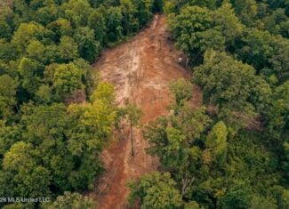 58± Acre Hunting Property in Franklin County, MS