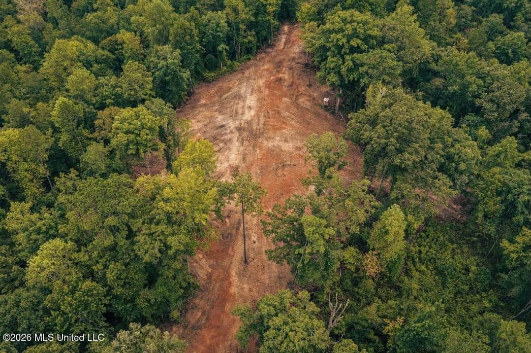 58± Acre Hunting Property in Franklin County, MS