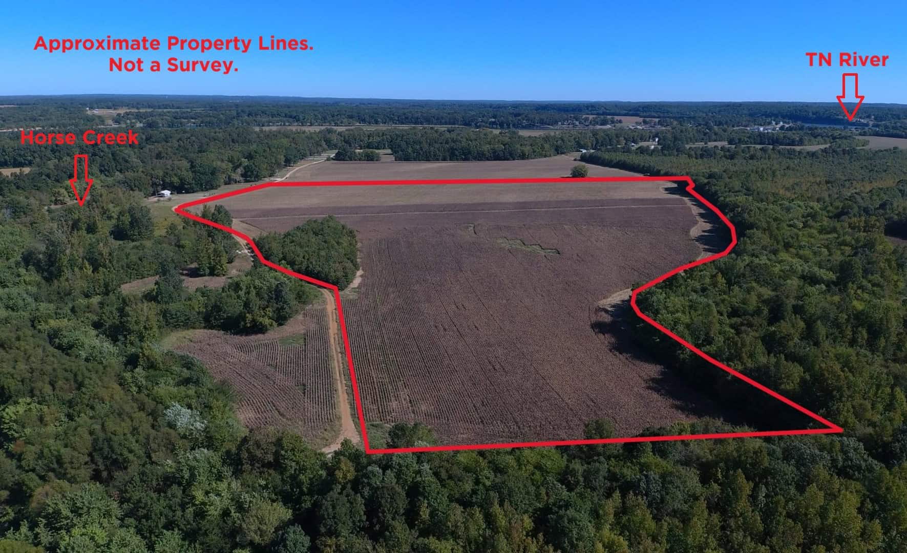 Farmland with great Deer and Turkey Hunting in Tennessee