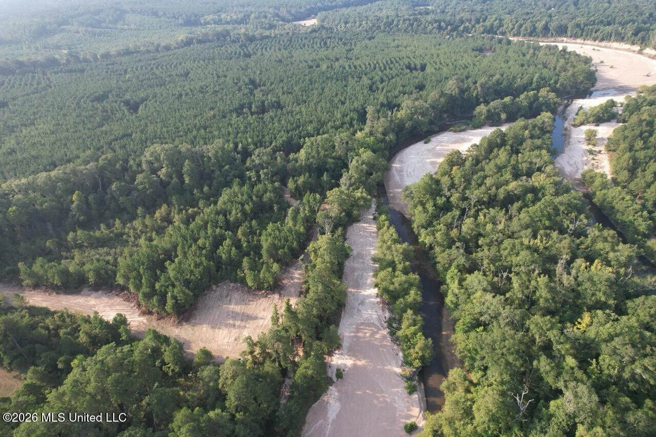 80± Acre Riverfront Hunting Land Near Meadville, MS