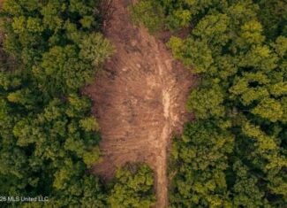 36± Acre Hunting Property Near Bude, MS