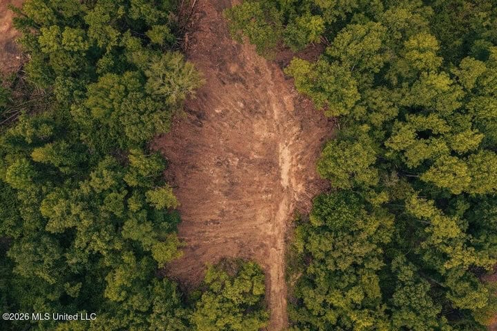 36± Acre Hunting Property Near Bude, MS