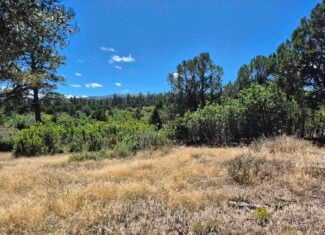 Colorado Hunting Land For Sale
