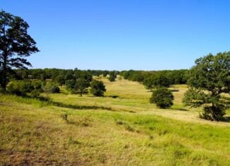 80 Ac Central Ok Pasture Ranch Land For Sale