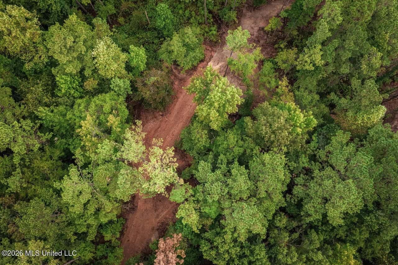 13± Acres by Homochitto National Forest Near Meadville, MS