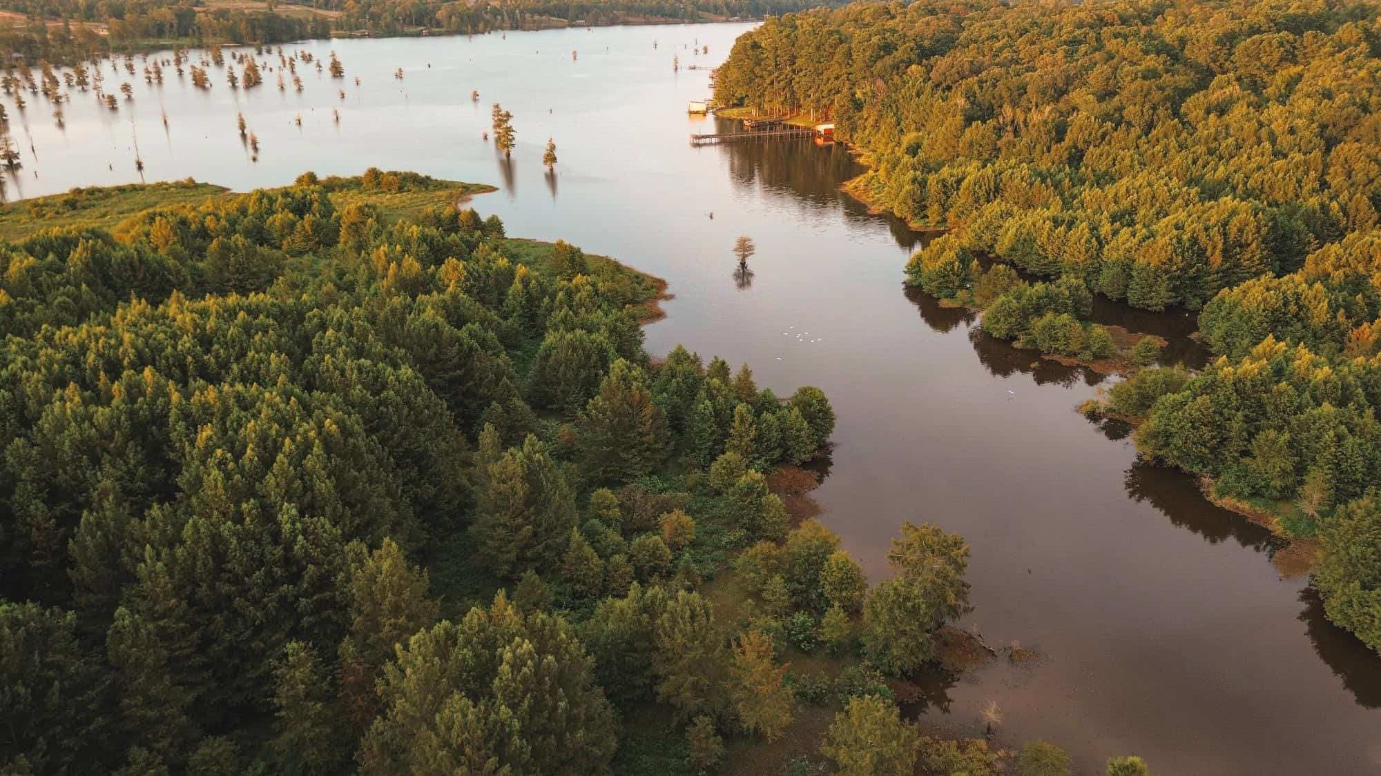Lake D’Arbonne Land for Sale
