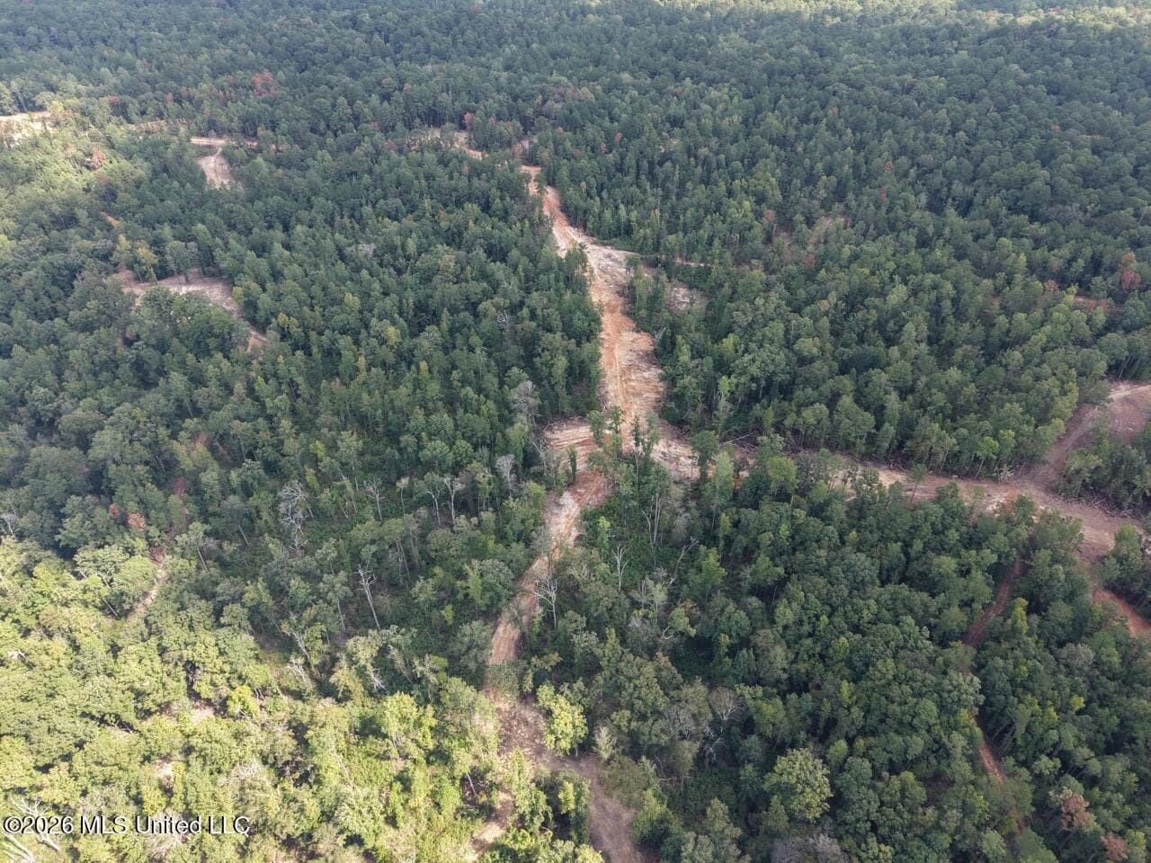 45± Acre Hunting Property in Franklin County, MS