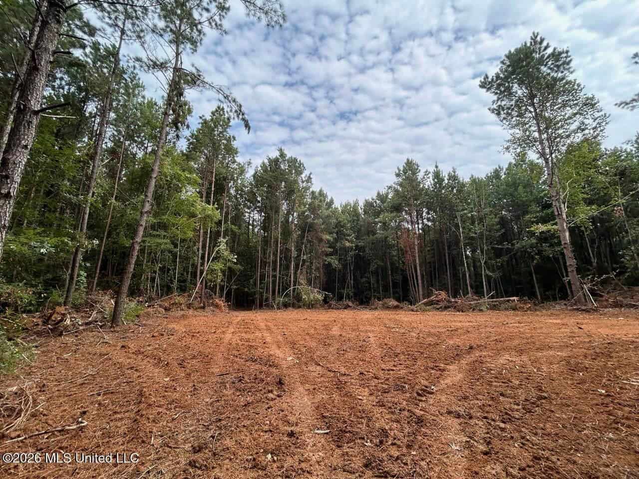 25± Acre Hunting & Homesite Tract in Centreville, MS