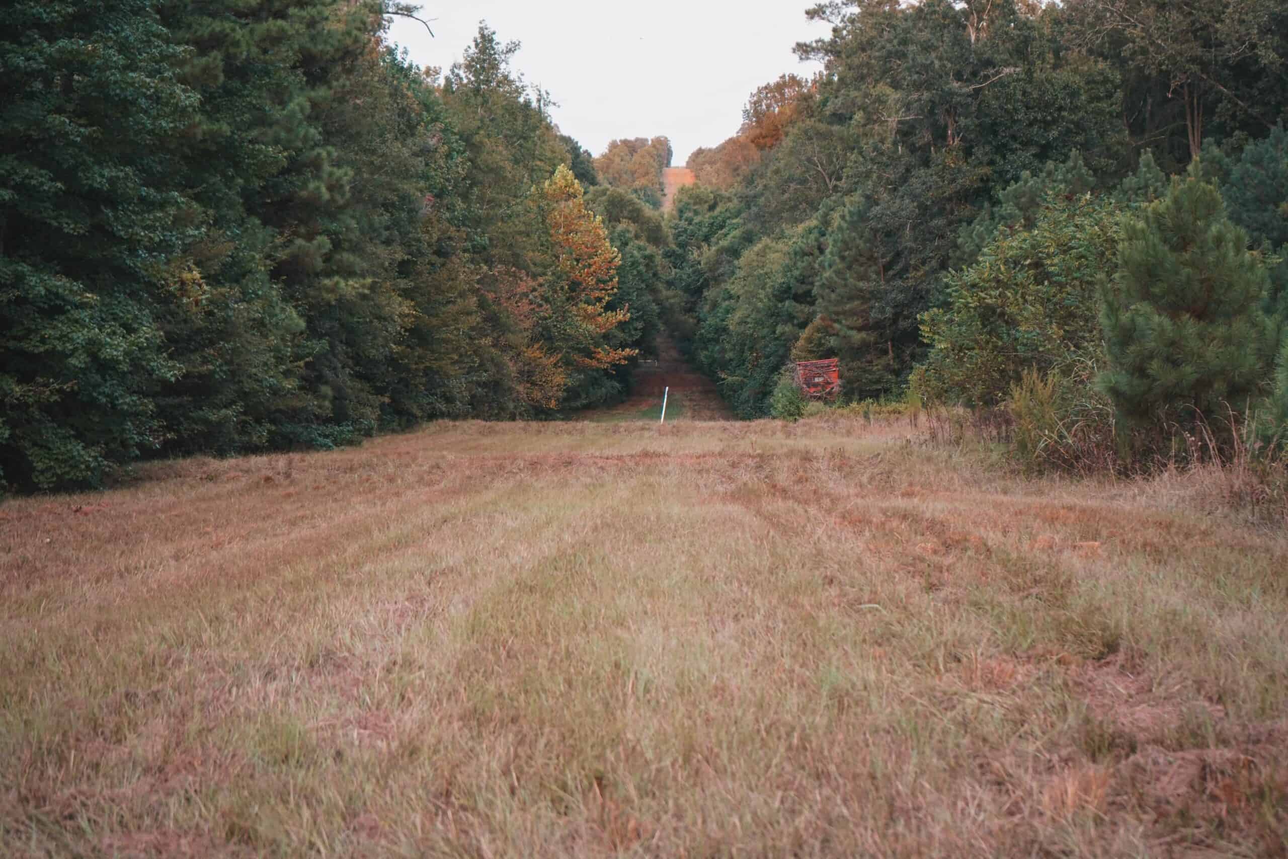 Affordable Union Parish Land for Sale
