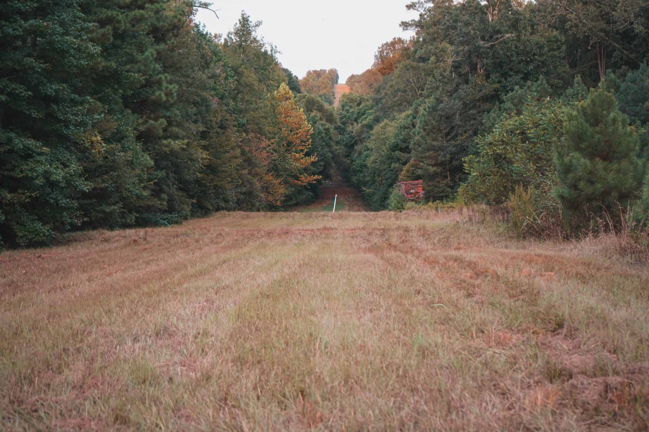 Affordable Union Parish Land for Sale