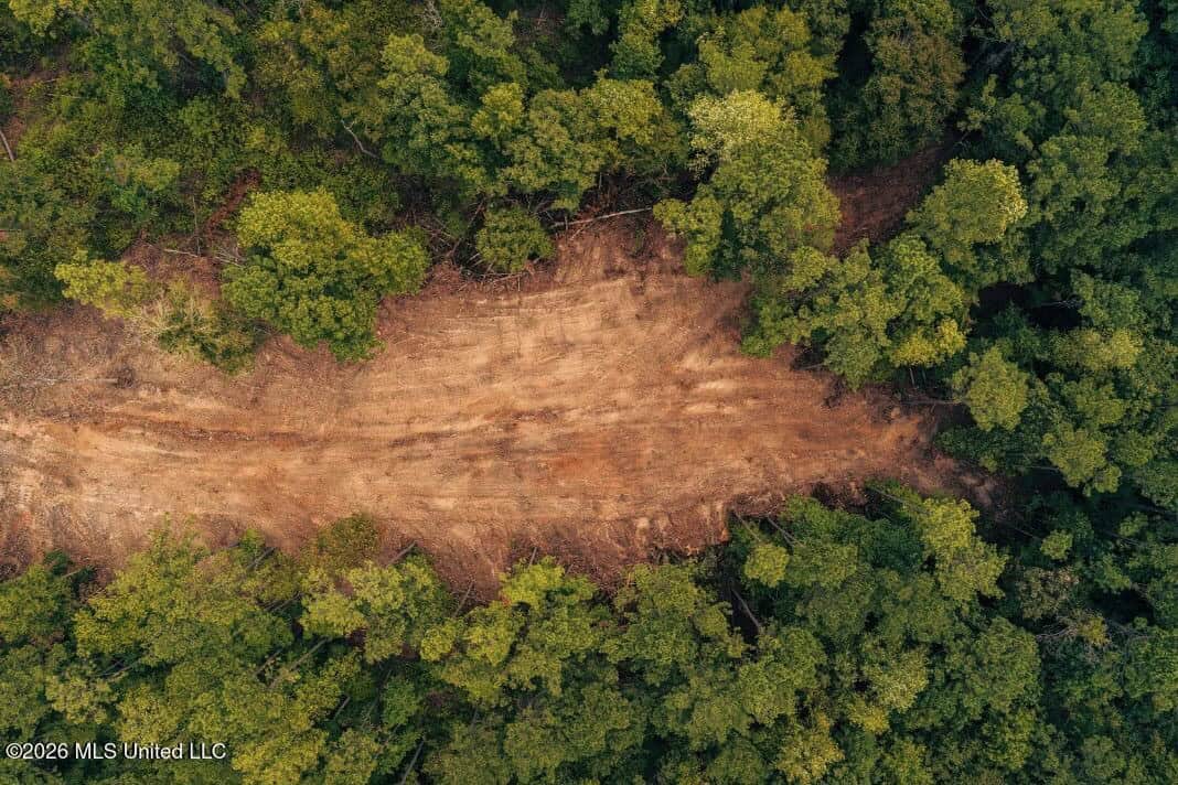 58± Acre Hunting Property in Franklin County, MS