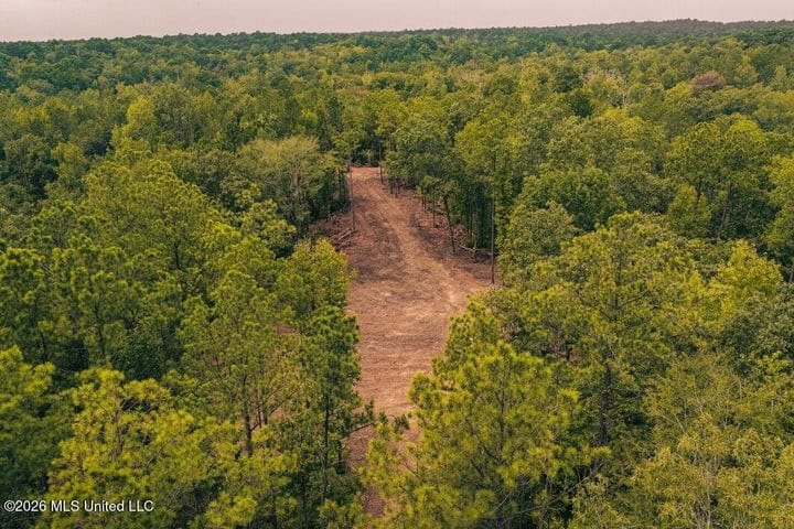 36± Acre Hunting Property Near Bude, MS