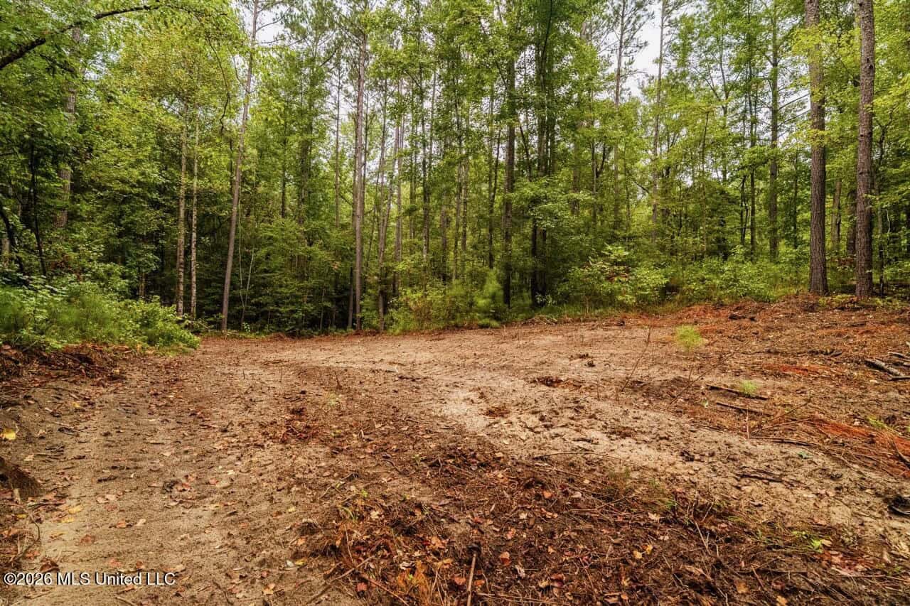 13± Acres by Homochitto National Forest Near Meadville, MS