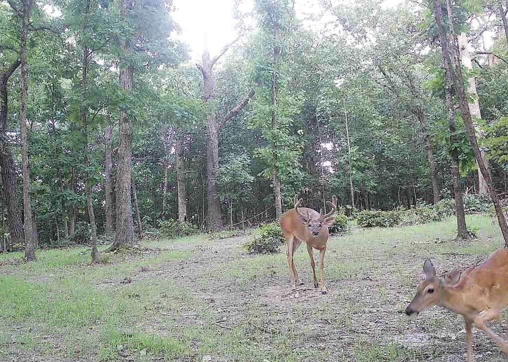 Tbd God’s Little Acre Camdenton, MO 65020