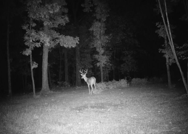 Tbd God’s Little Acre Camdenton, MO 65020